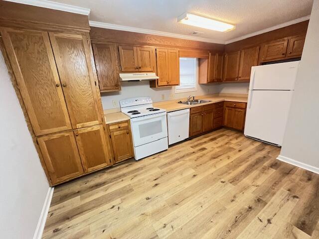 251 Rast Street, Unit G4 & G8 Sumter, SC 29150 - Photo 15 of 18 IMG_4105