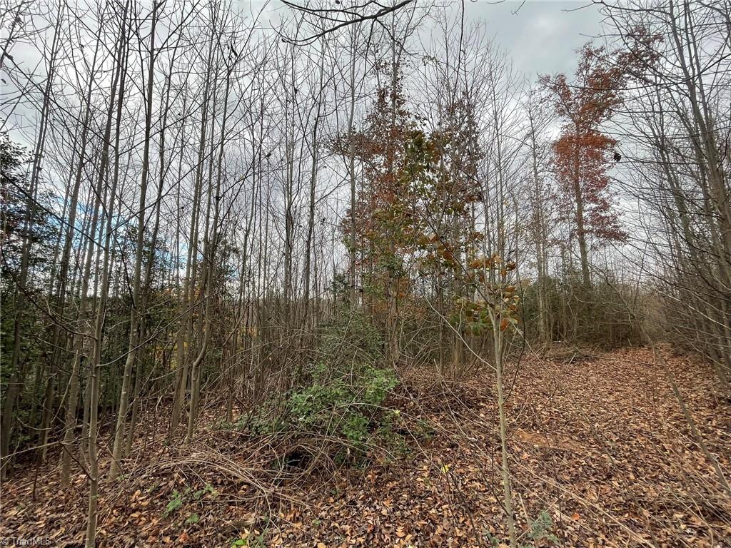 Lot 14 Pulco Lane Ronda, NC 28670 - Photo 1 of 9 Gallery Image 1
