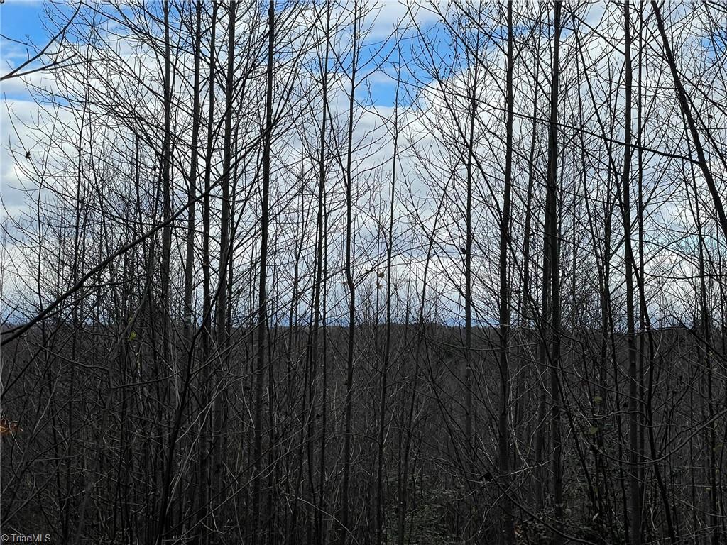 Lot 14 Pulco Lane Ronda, NC 28670 - Photo 2 of 9 Gallery Image 2