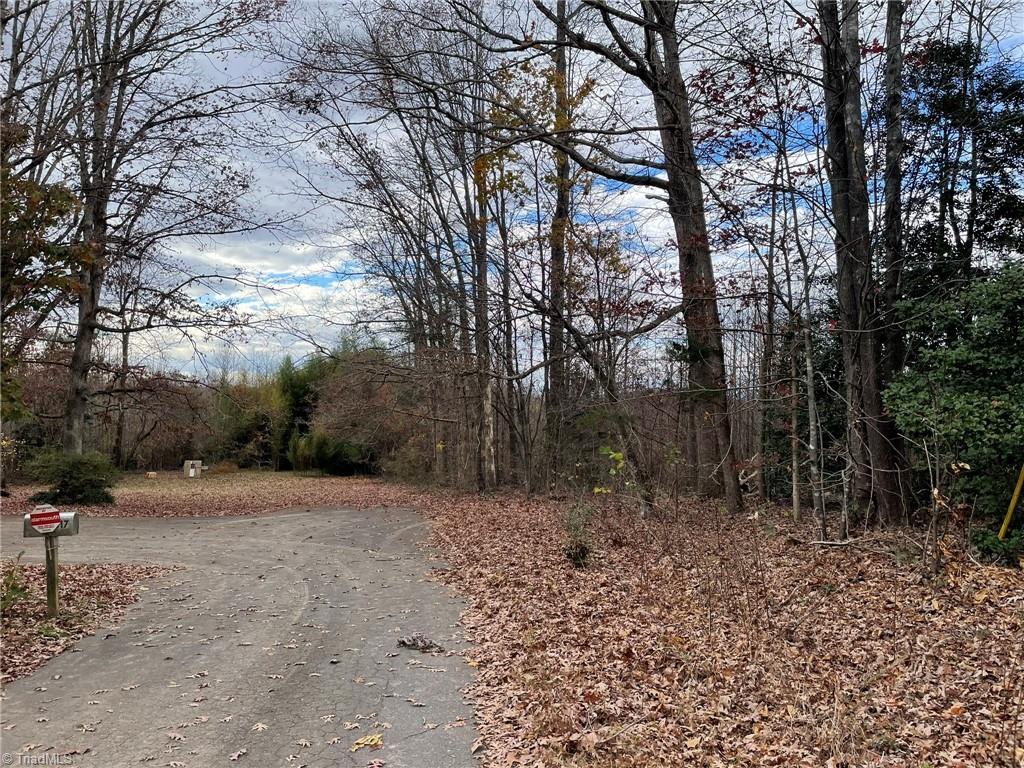 Lot 14 Pulco Lane Ronda, NC 28670 - Photo 3 of 9 Gallery Image 3