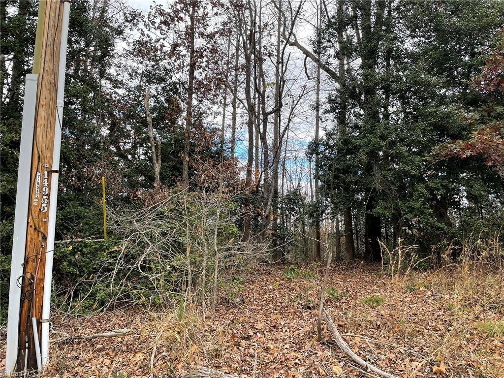 Lot 14 Pulco Lane Ronda, NC 28670 - Photo 4 of 9 Gallery Image 4