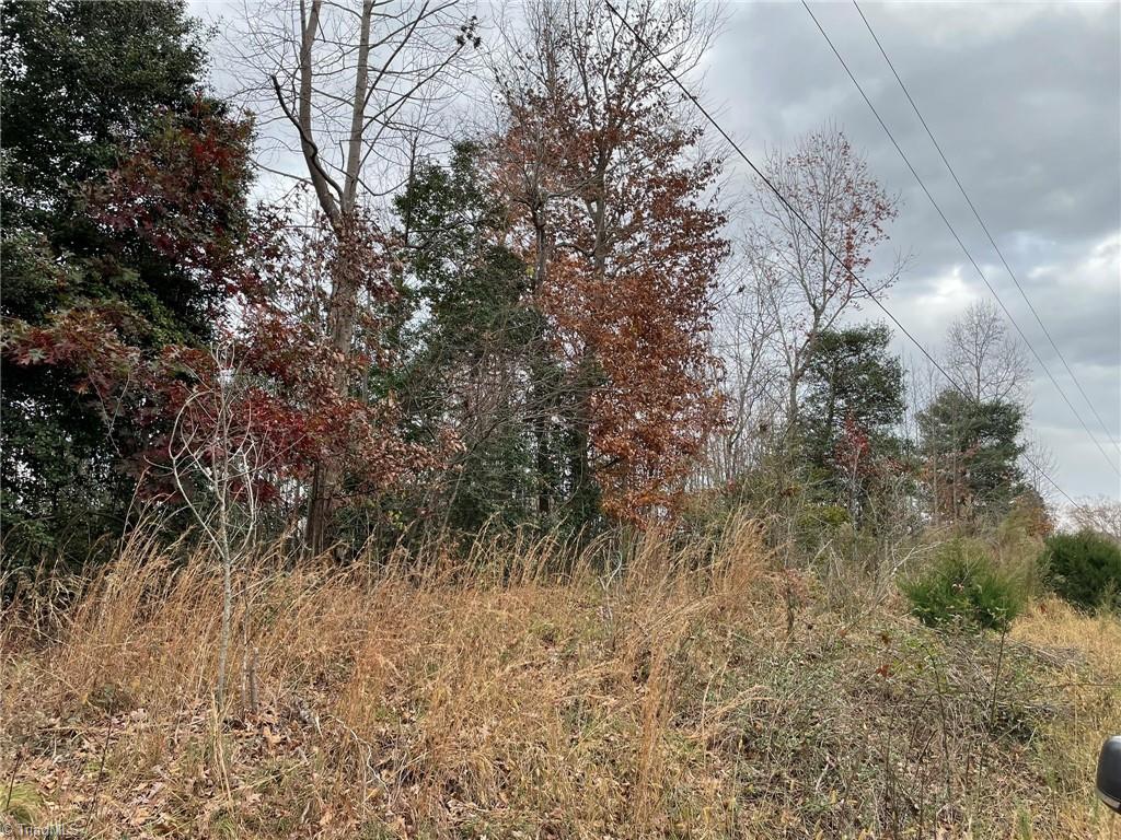 Lot 14 Pulco Lane Ronda, NC 28670 - Photo 5 of 9 Gallery Image 5