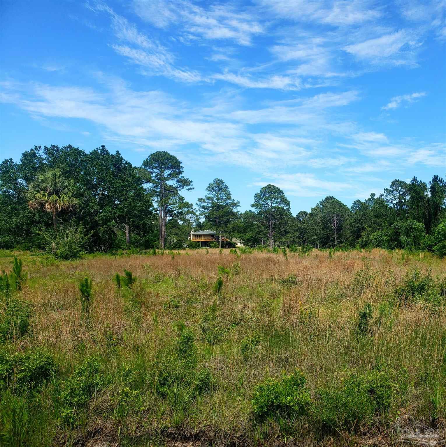 1164 Pearson Road, Unit LOT 2 Milton, FL 32583 - Photo 3 of 14 Gallery Image 3