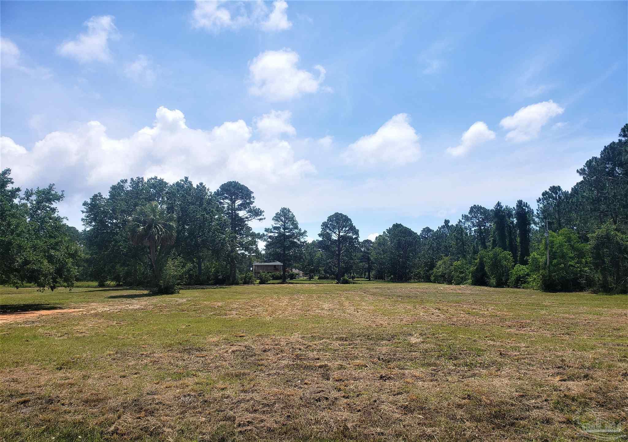 1164 Pearson Road, Unit LOT 2 Milton, FL 32583 - Photo 5 of 14 Gallery Image 5