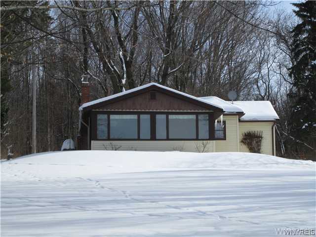9005 South State Road Eden, NY 14057 - Photo 1 of 1 Exterior Front