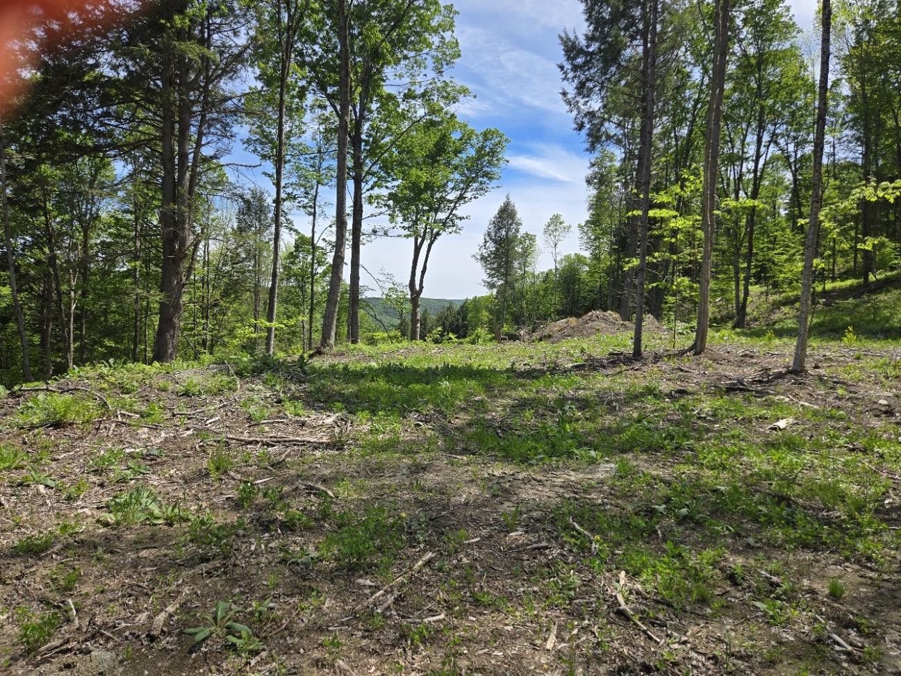 0 Vt Route, Unit LOT 1 Bethel, VT 05032 - Photo 7 of 10