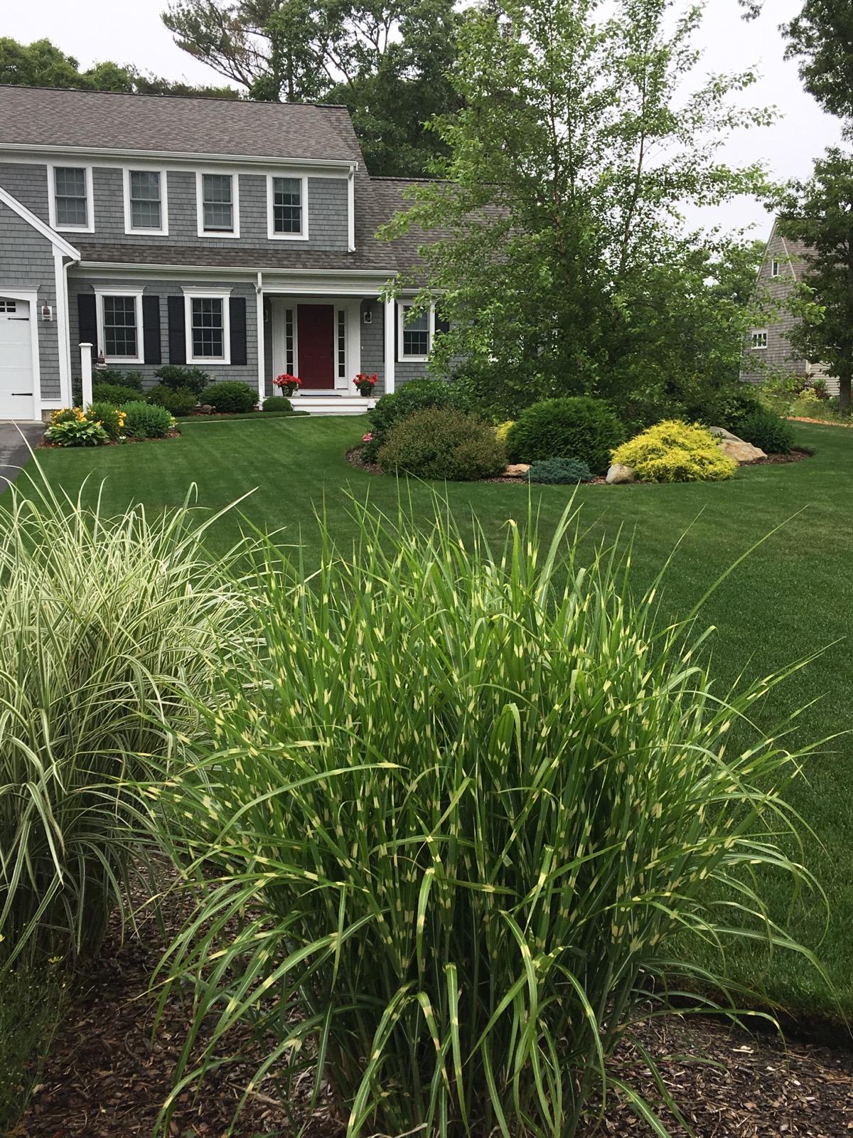 70 Abby Road Brewster, MA 02631 - Photo 29 of 33 IMG_4858