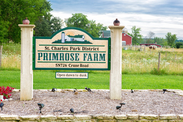 5N735 Crane Road St. Charles, IL 60175 - Photo 56 of 56