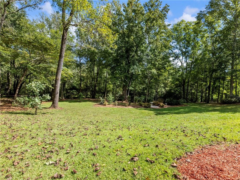 141 Willows Court Cleveland, GA 30528 - Photo 56 of 71