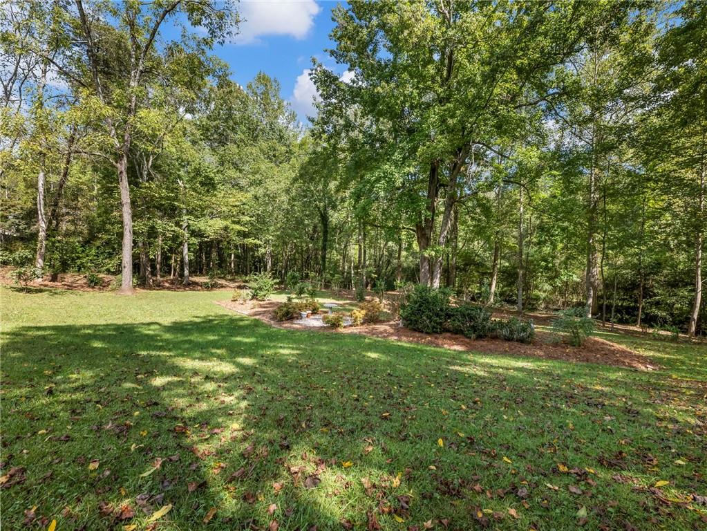 141 Willows Court Cleveland, GA 30528 - Photo 60 of 71