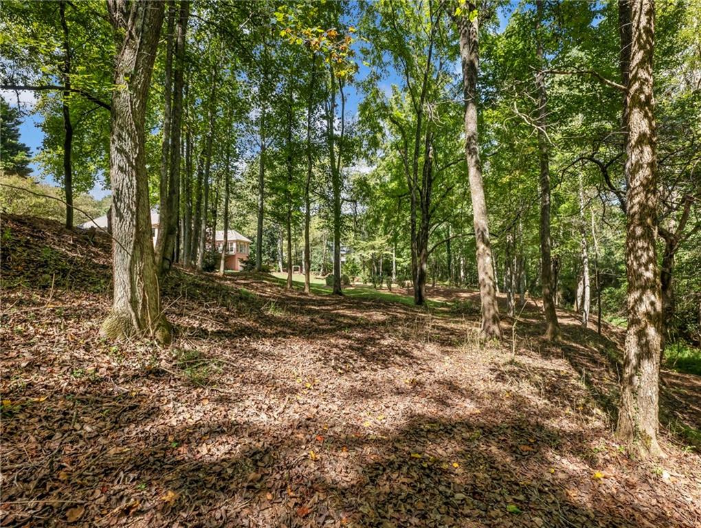 141 Willows Court Cleveland, GA 30528 - Photo 62 of 71