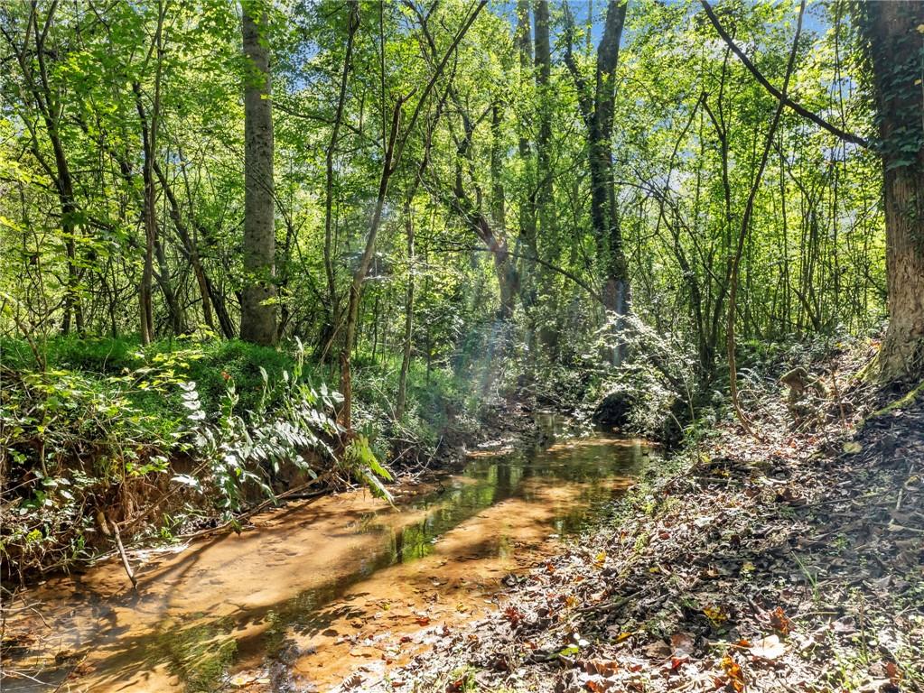 141 Willows Court Cleveland, GA 30528 - Photo 63 of 71