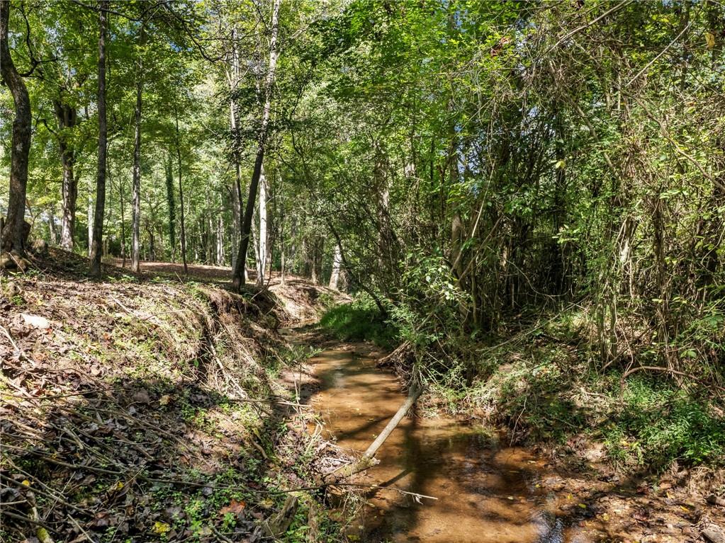 141 Willows Court Cleveland, GA 30528 - Photo 64 of 71