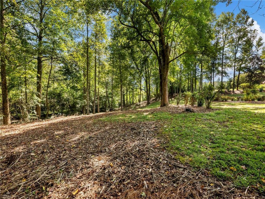 141 Willows Court Cleveland, GA 30528 - Photo 66 of 71