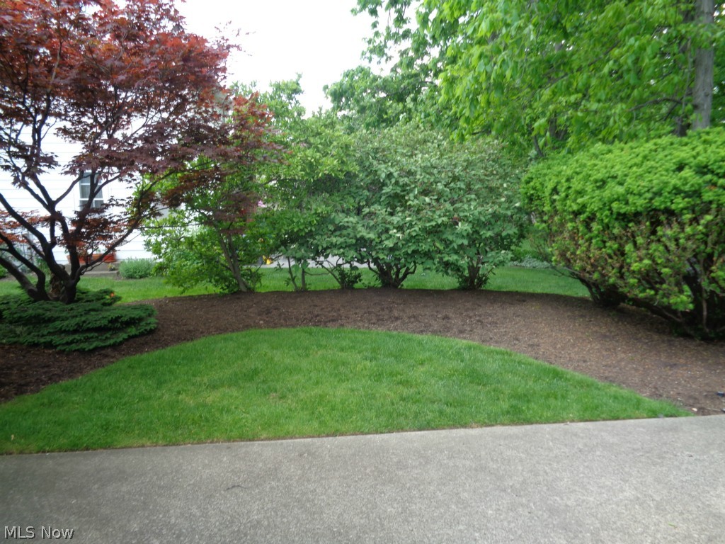 1029 Brainard Road Cleveland, OH 44143 - Photo 21 of 22