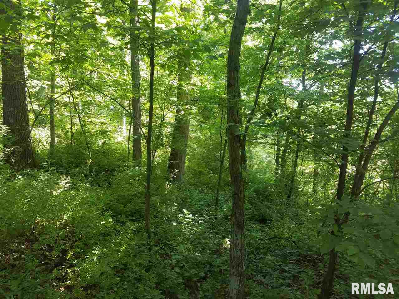 350 East N Road Augusta, IL 62311 - Photo 13 of 23