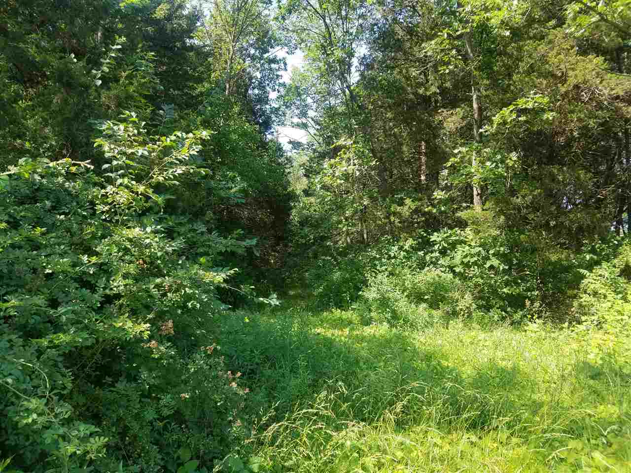 350 East N Road Augusta, IL 62311 - Photo 4 of 23
