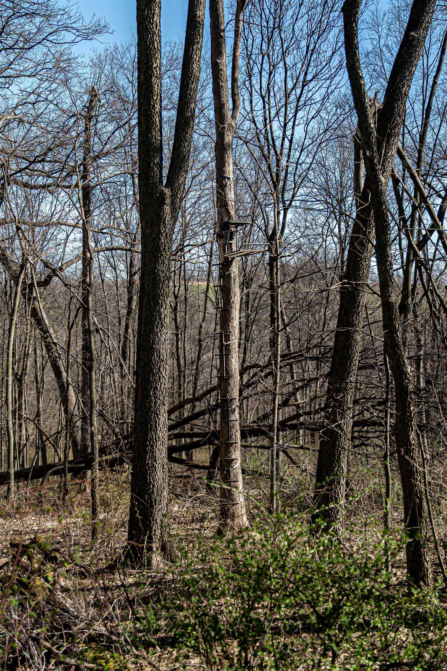 0 South Flint Road Pearl City, IL 61062 - Photo 26 of 50 Gallery Image 26