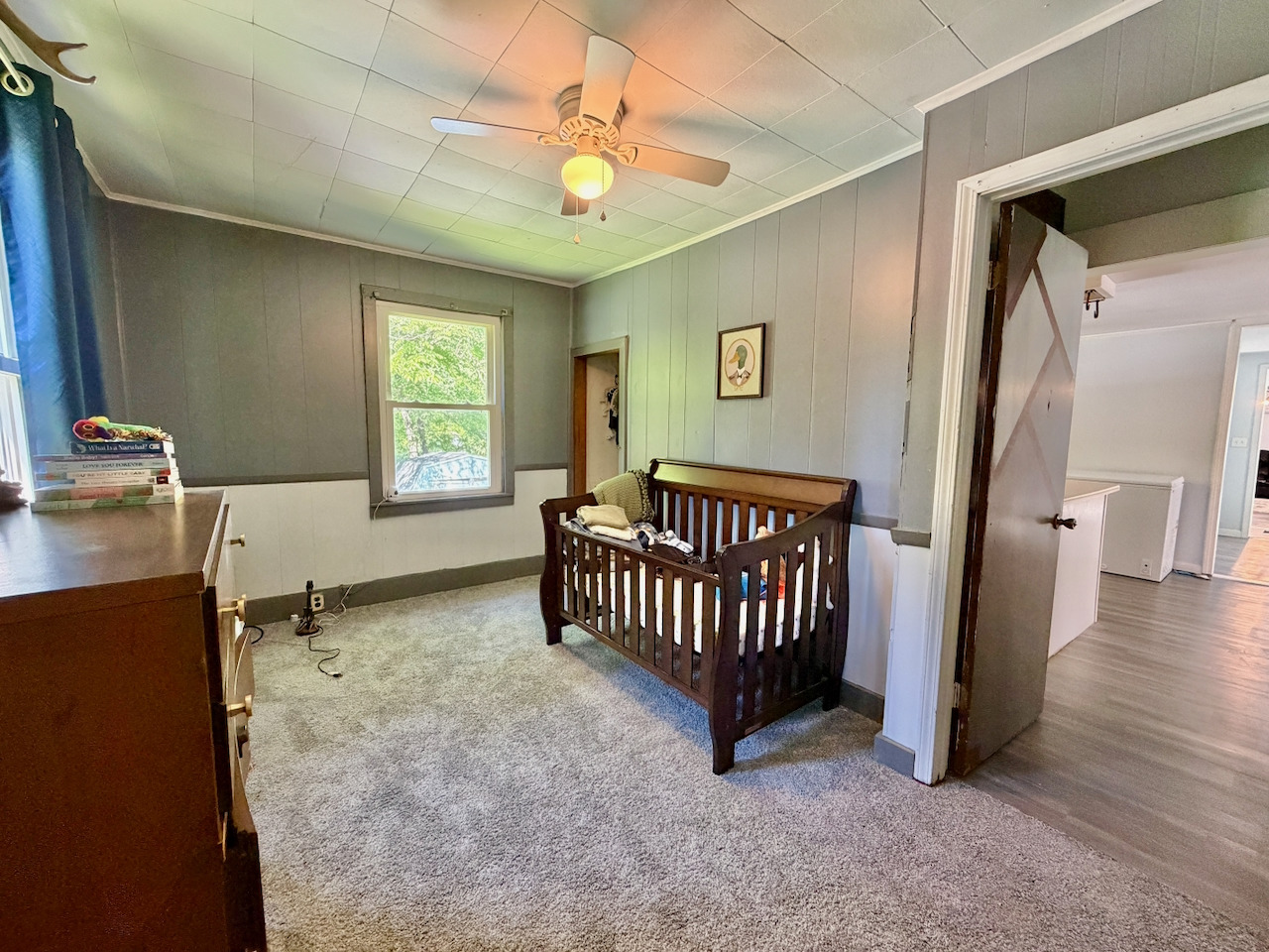 7 Lost Ranch Road Murphysboro, IL 62966 - Photo 21 of 36