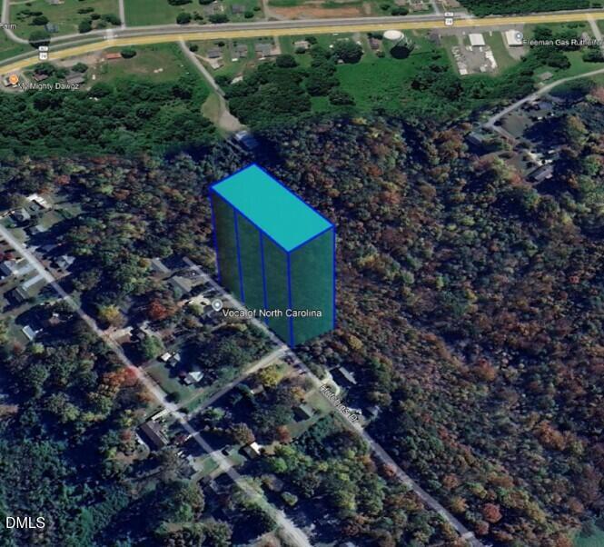 0 Woodland Drive Rutherfordton, NC 28139 - Photo 2 of 5 a green field with lots of plants and trees