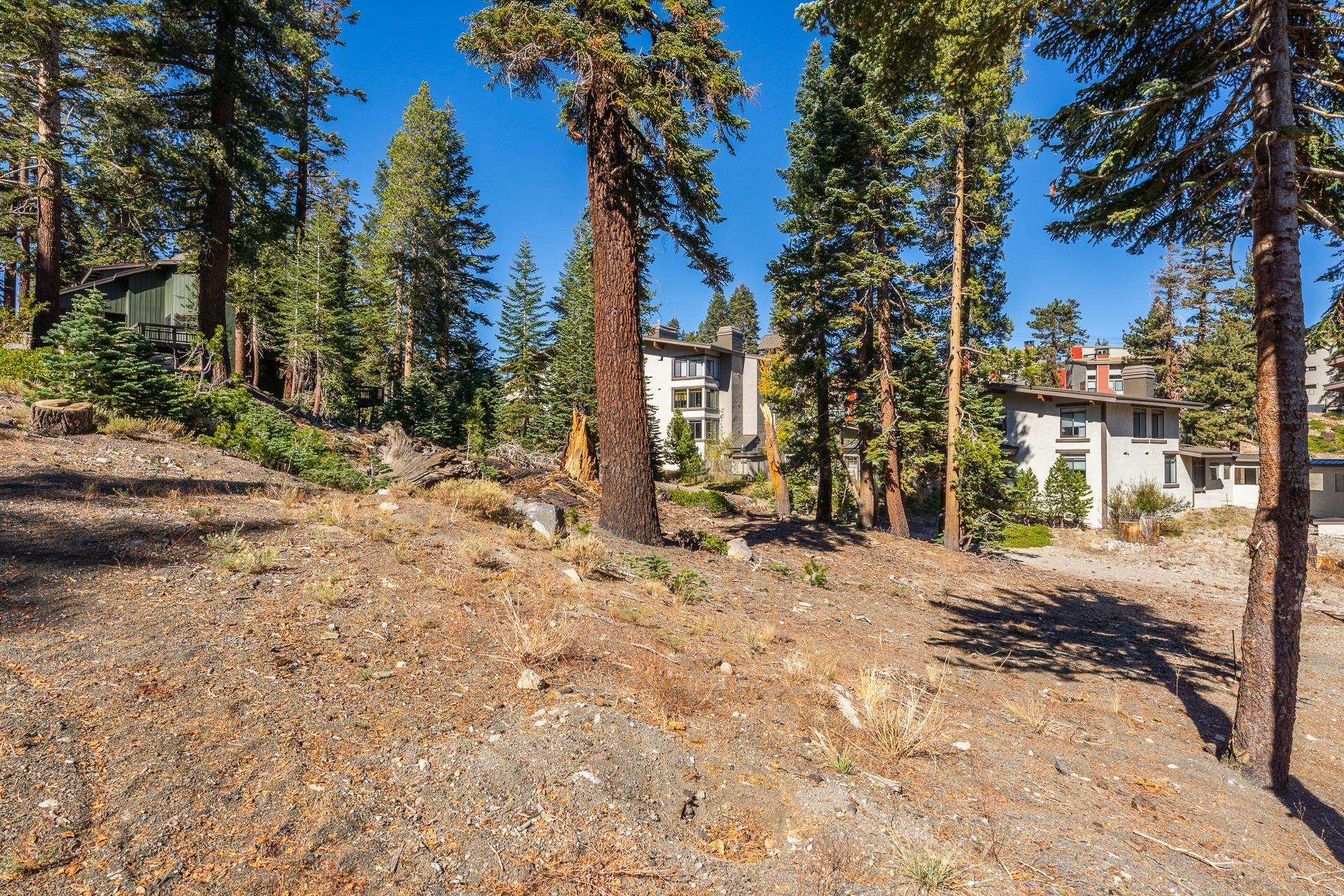 306 Davison Road Mammoth Lakes, CA 93546 - Photo 3 of 21