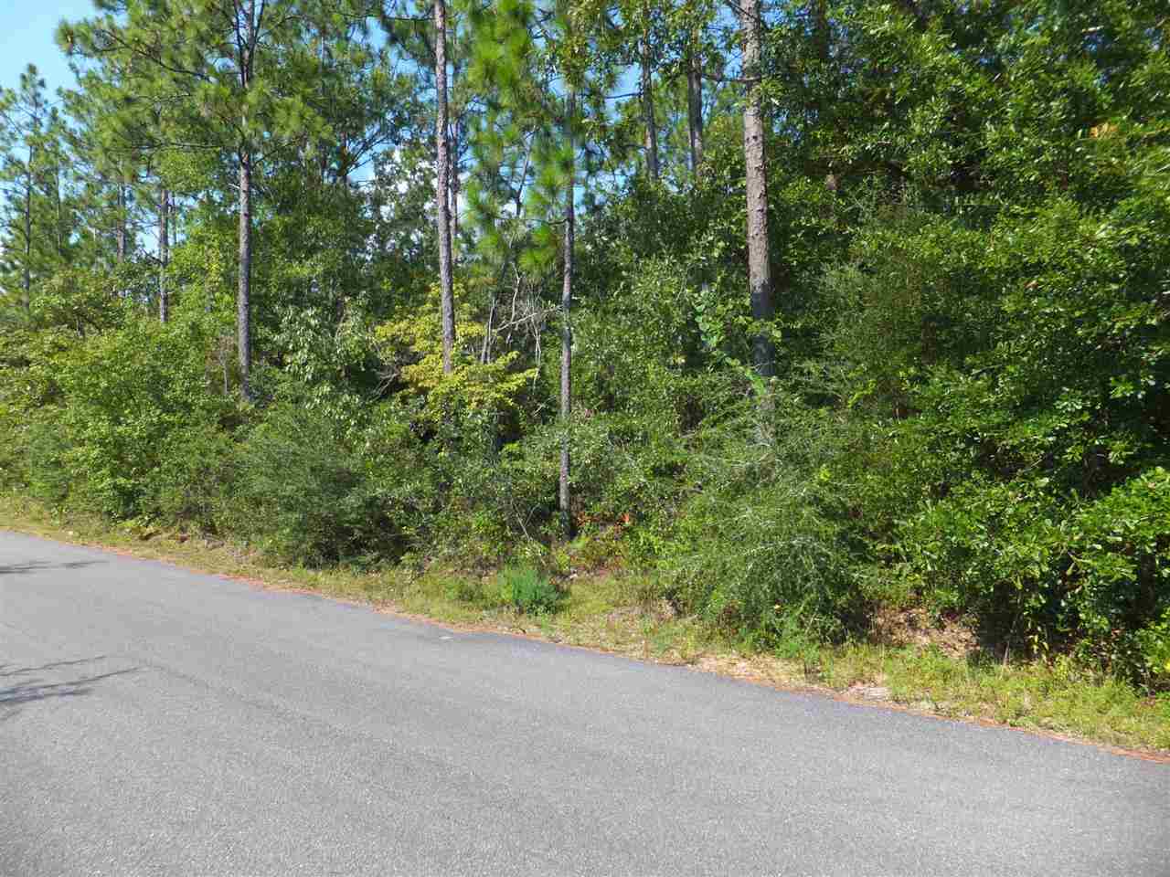 20-acres Christmas Tree Road Milton, FL 32570 - Photo 2 of 10 Gallery Image 2