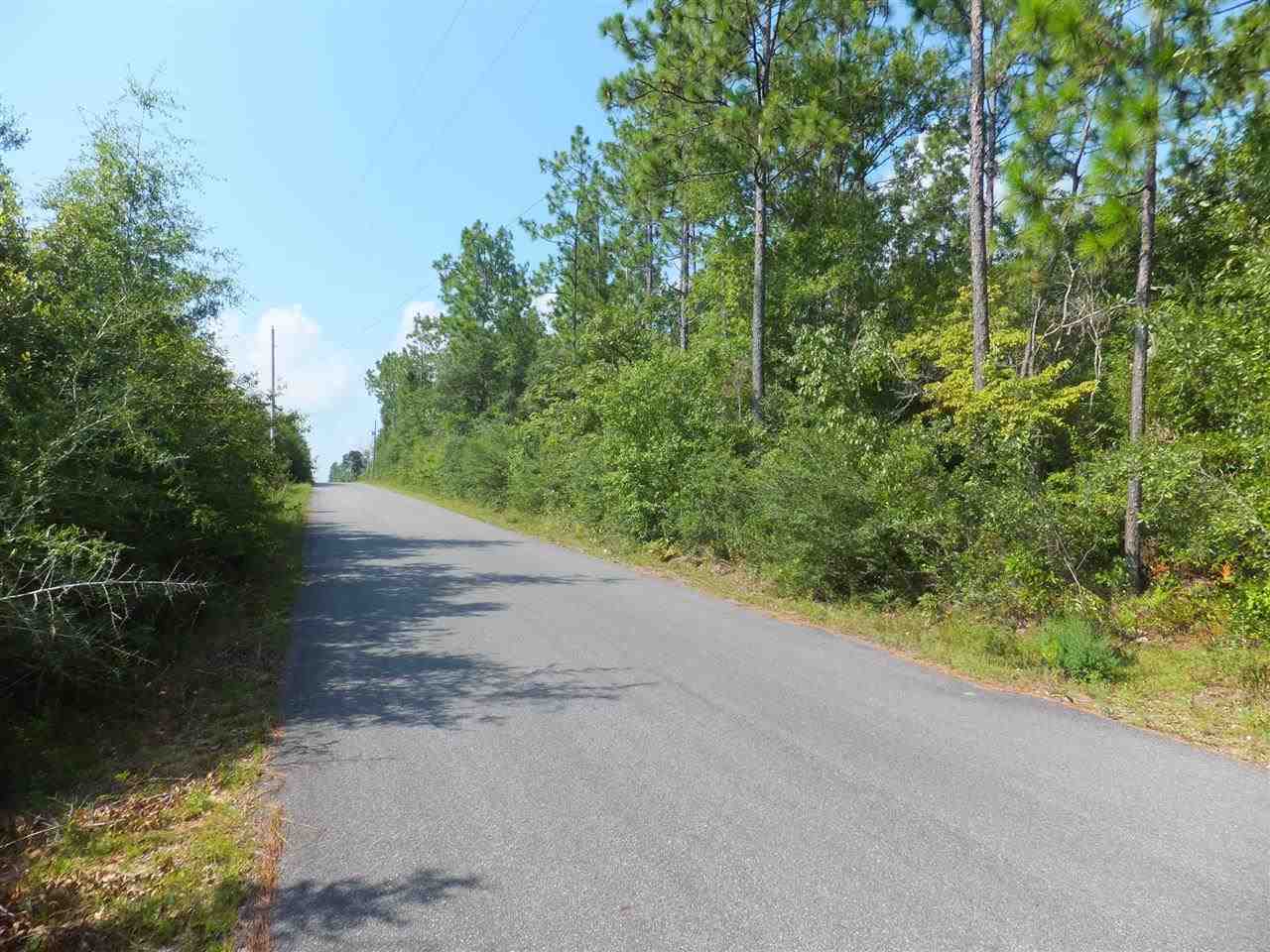 20-acres Christmas Tree Road Milton, FL 32570 - Photo 3 of 10 Gallery Image 3