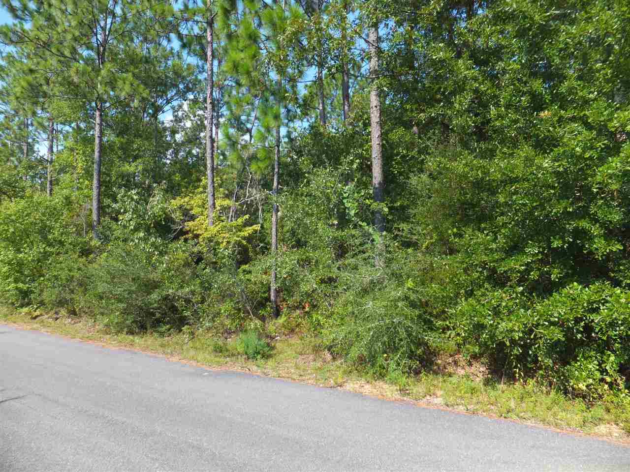 20-acres Christmas Tree Road Milton, FL 32570 - Photo 4 of 10 Gallery Image 4