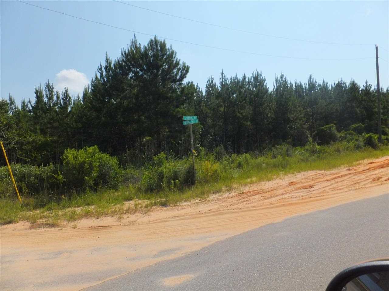 20-acres Christmas Tree Road Milton, FL 32570 - Photo 6 of 10 Gallery Image 6