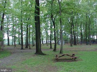 a view of a park with large trees