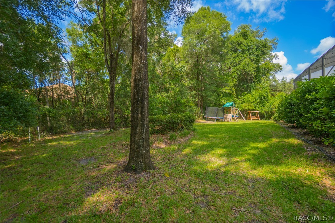 18976 Southwest 93rd Loop Dunnellon, FL 34432 - Photo 53 of 82