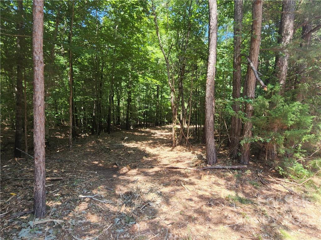 2695 Pinckney Road Chester, SC 29706 - Photo 15 of 44 a view of backyard with green space