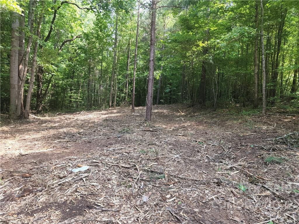 2695 Pinckney Road Chester, SC 29706 - Photo 22 of 44 a fire hydrant in the middle of a field