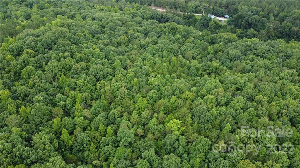 2695 Pinckney Road Chester, SC 29706 - Photo 26 of 44 a view of a lush green forest with lots of trees