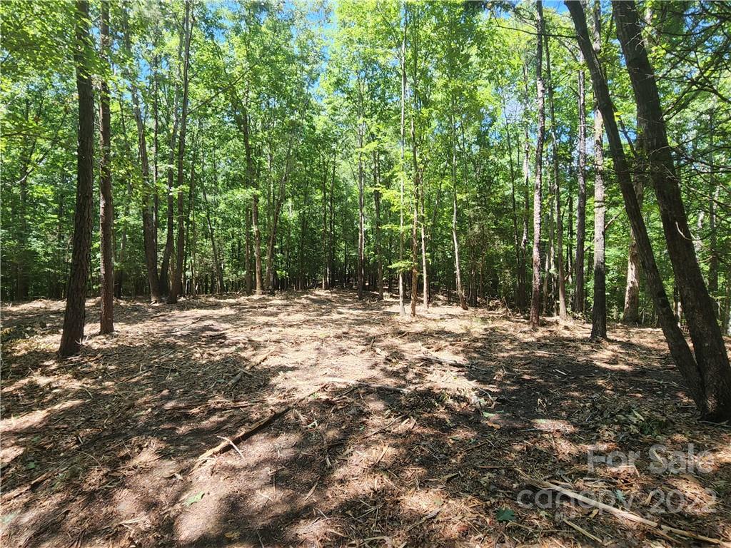2695 Pinckney Road Chester, SC 29706 - Photo 27 of 44 a view of outdoor space with trees