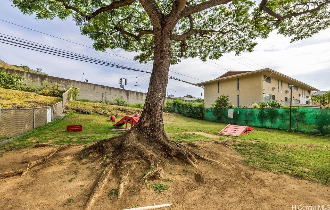 3215 Ala Ilima Street, Unit A203 Honolulu, HI 96818 - Photo 19 of 25 Dog area