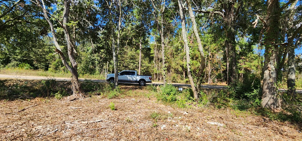 92 County Road 92 Slocomb, AL 36375 - Photo 11 of 32