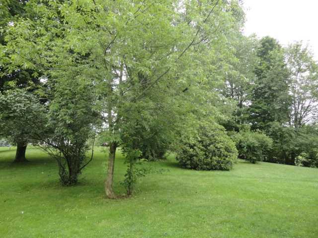 265 Schiestle Road Mercer, PA 16137 - Photo 5 of 6 Yard/Garden.