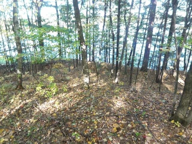 Three Braeger Road Three Lakes, WI 54562 - Photo 6 of 14 Gallery Image 6