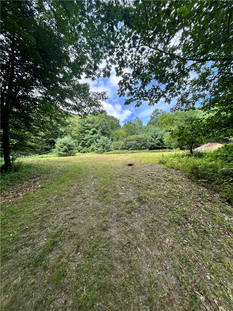 270 Collins-Gifford Valley Road Northampton, NY 12134 - Photo 16 of 26