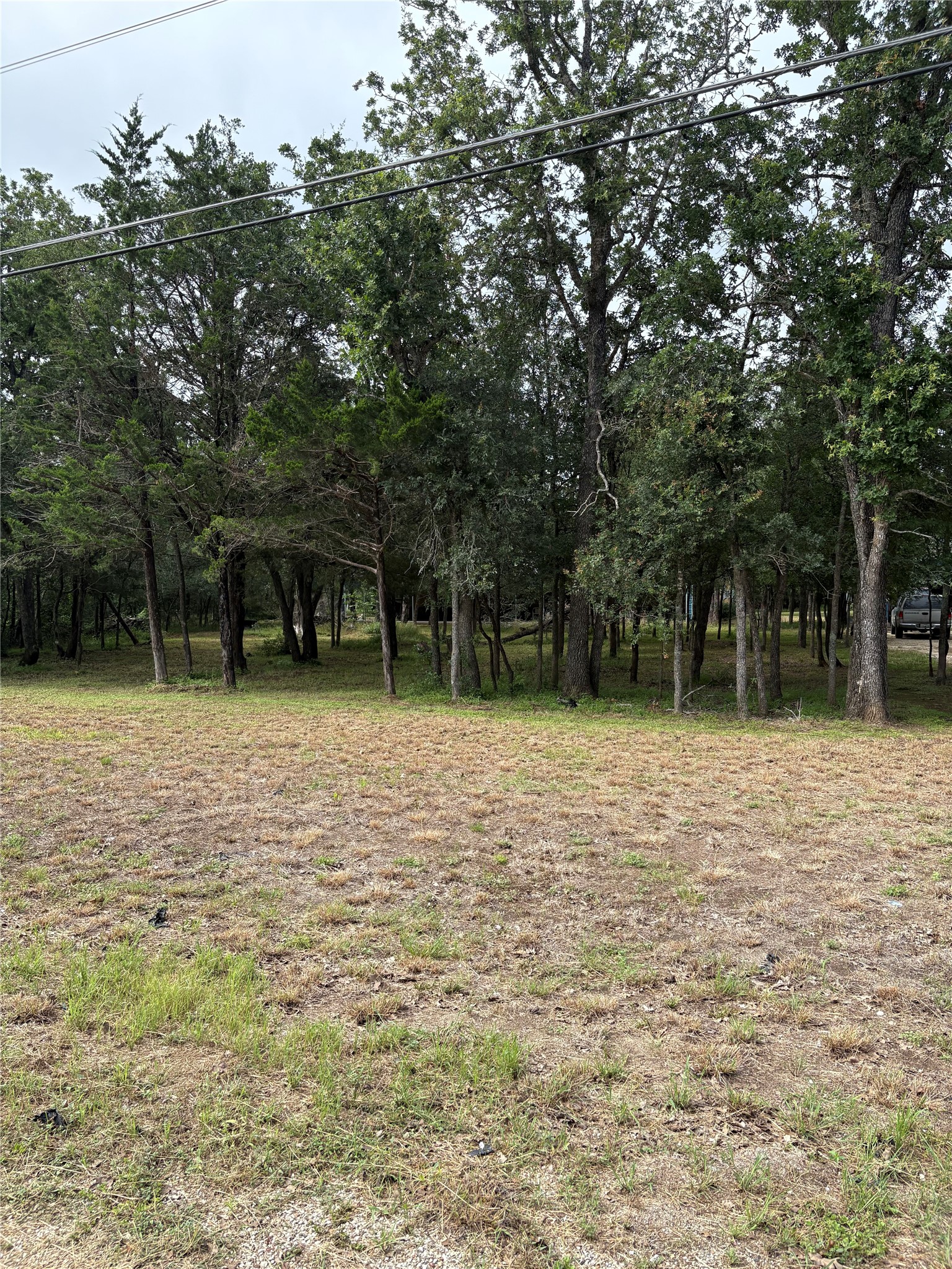 219 High View Ranch Drive Cedar Creek, TX 78612 - Photo 5 of 18 a backyard of a house with lots of green space