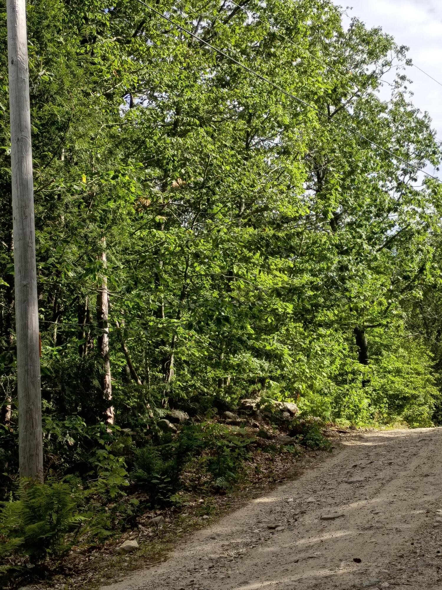 Weeks Road 2