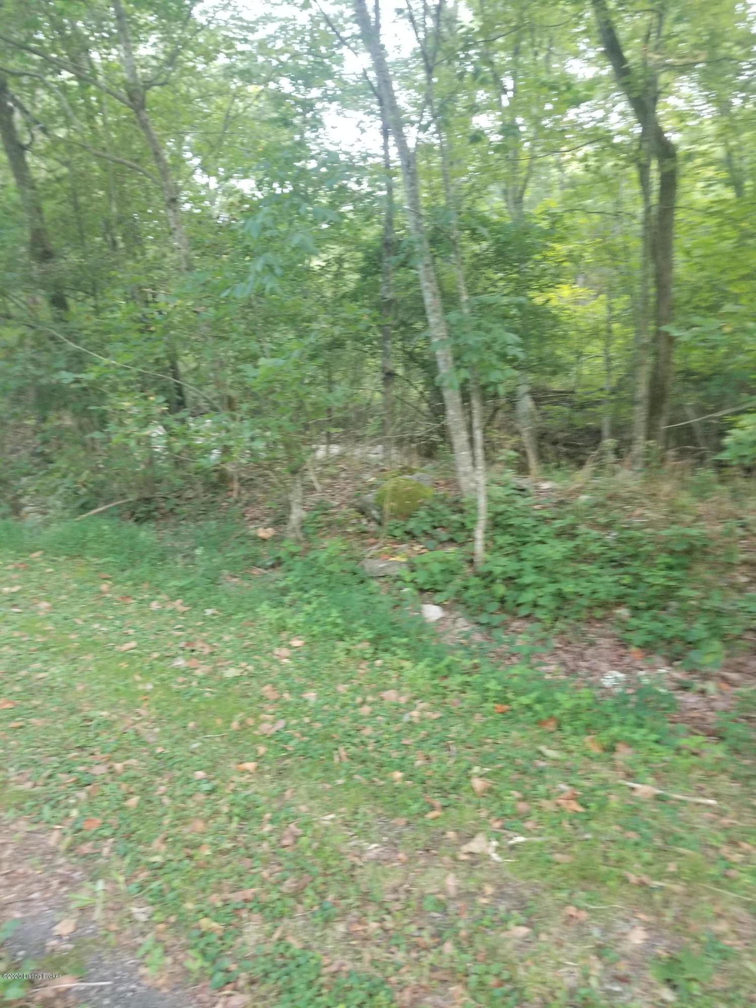 1761 Woodrow Wilson Road Carrollton, KY 41008 - Photo 23 of 26 20200910_180758