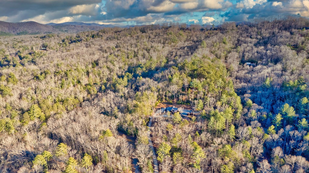 323 Stanley Creek Road Blue Ridge, GA 30513 - Photo 80 of 82 Gallery Image 80