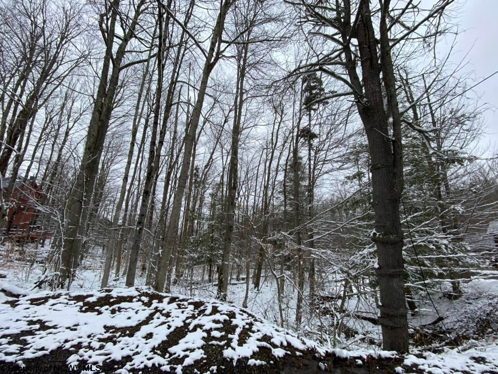 59 Slopeside Road Davis, WV 26260 - Photo 4 of 44 Gallery Image 4