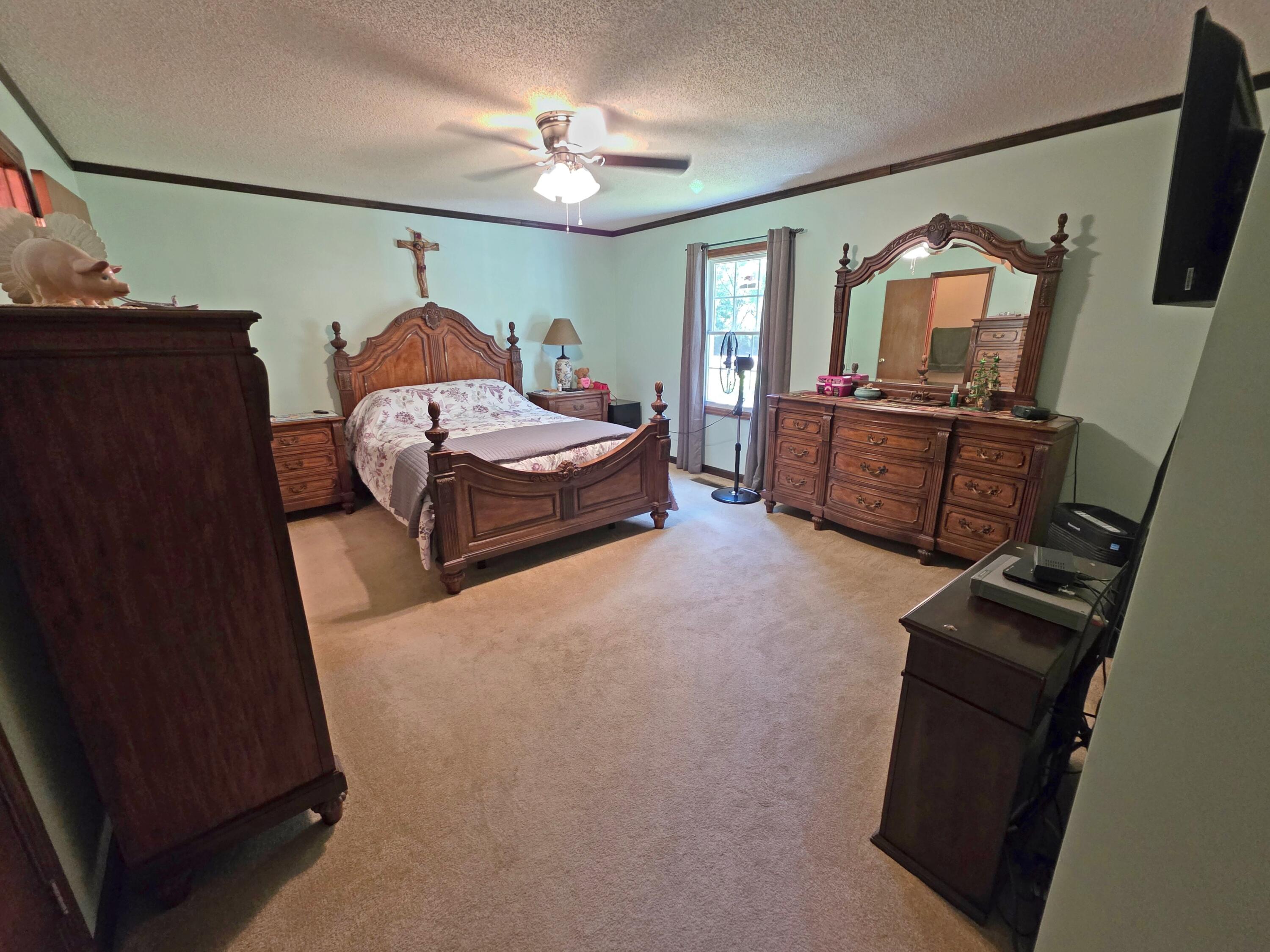 1638 Mercier Road Lincolnton, GA 30817 - Photo 18 of 29 Primary Bedroom