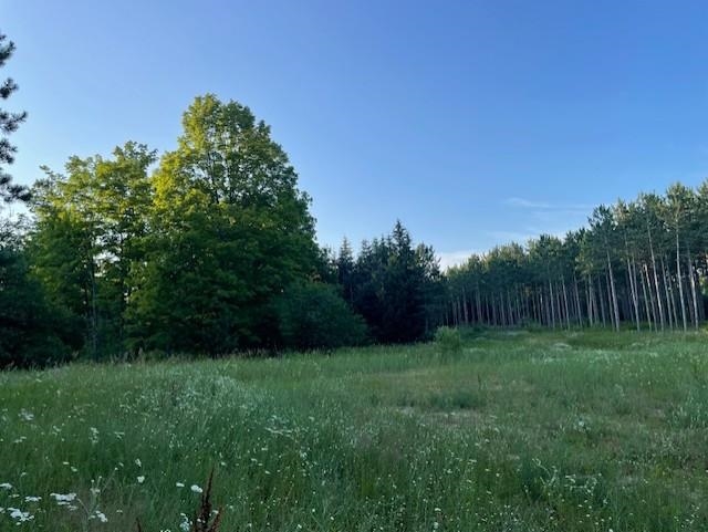 0 East Stockwell Road Harrison, MI 48625 - Photo 32 of 34