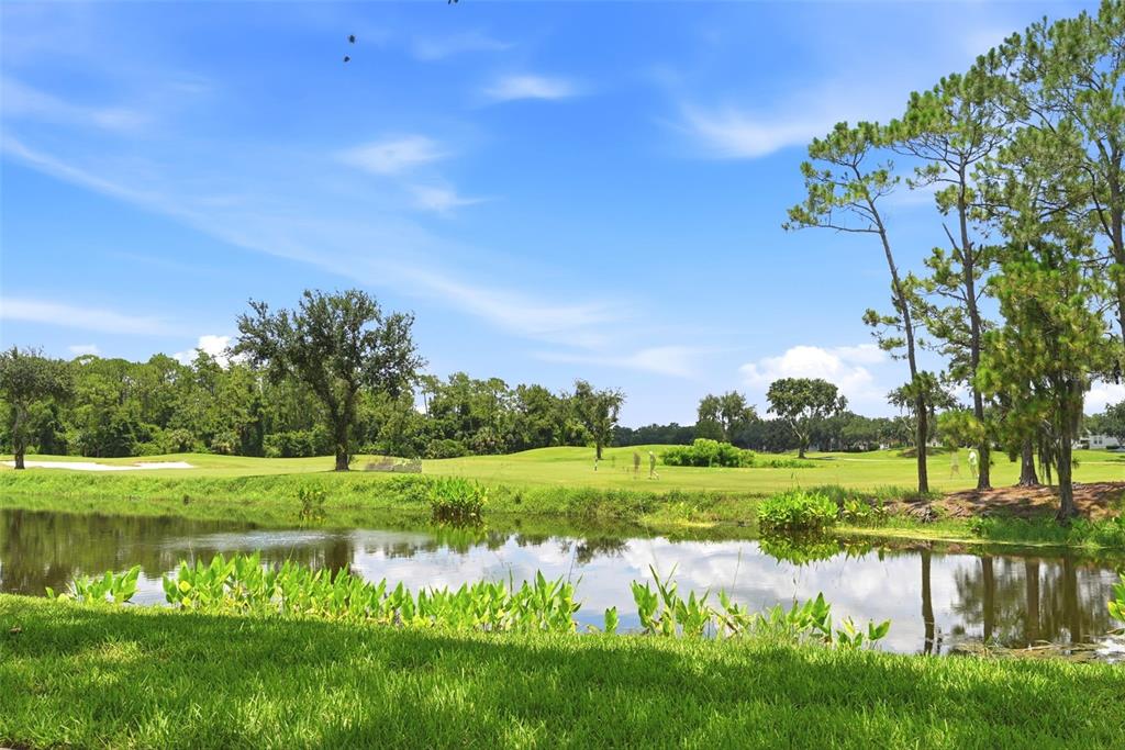 1020 Waterside Drive, Unit 1020 Celebration, FL 34747 - Photo 34 of 39