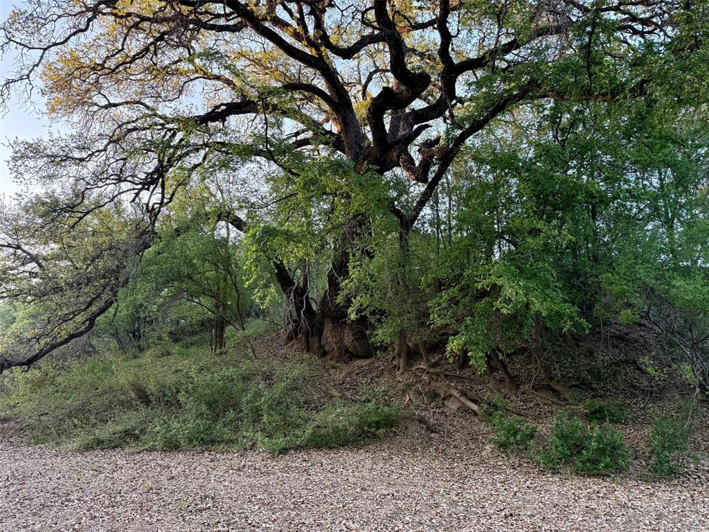 950 County Road 442 Rochelle, TX 76872 - Photo 10 of 20