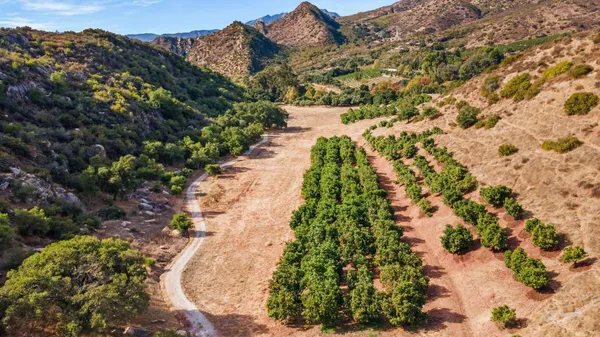 $5,000,000 | 2250 Hermitage Road, Ojai, CA 93023